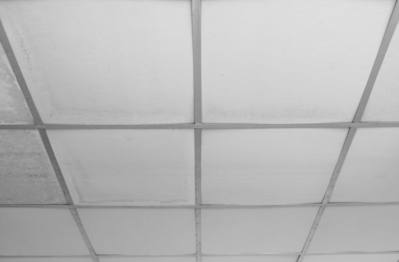 Ceiling Tile Repair