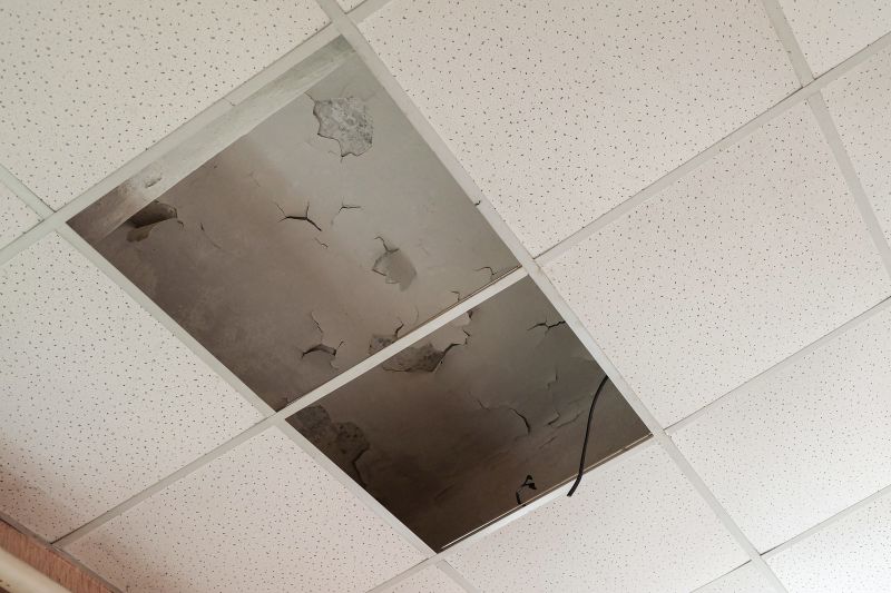 Ceiling Tile Repair