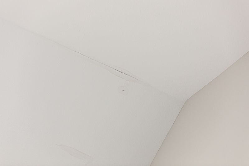 Ceiling Tile Repair