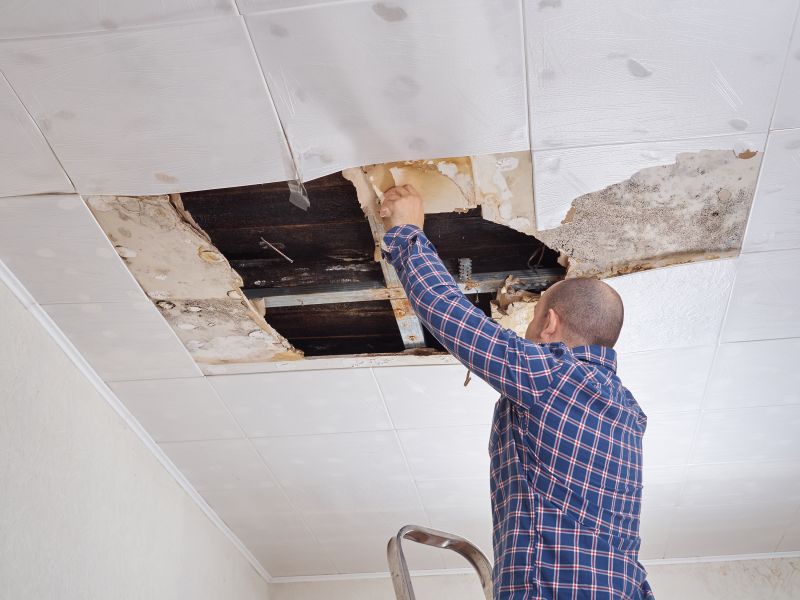 Ceiling Tile Repair