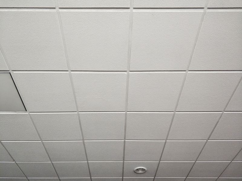 Ceiling Tile Repair