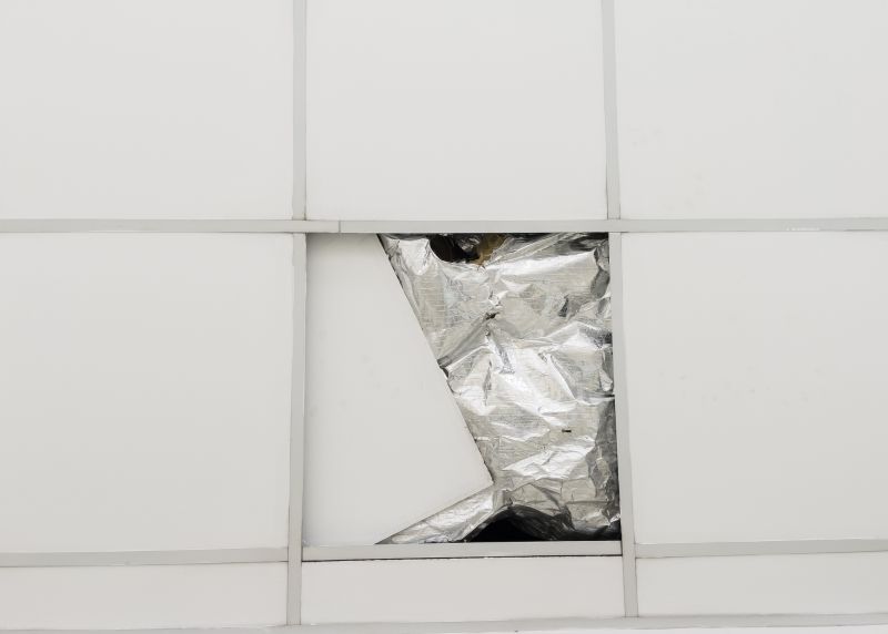 Ceiling Tile Repairs in Fall