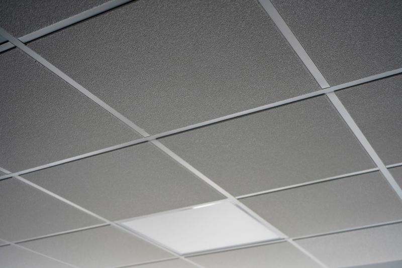 Grid Ceiling Installation in Boulder, CO