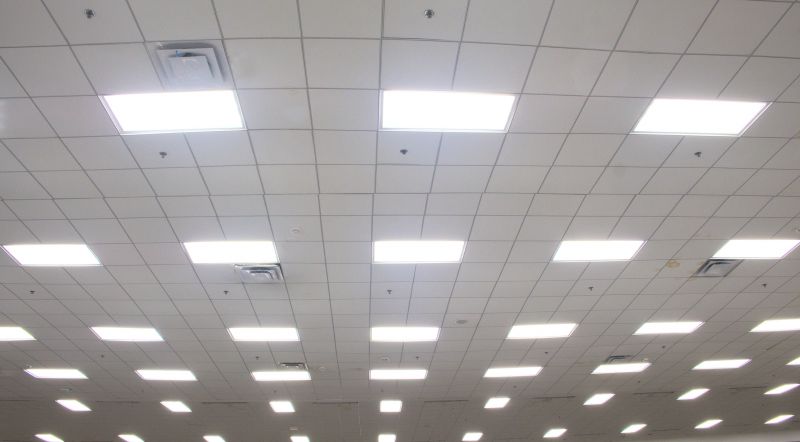 Grid Ceiling Repair in Saint Augustine, FL