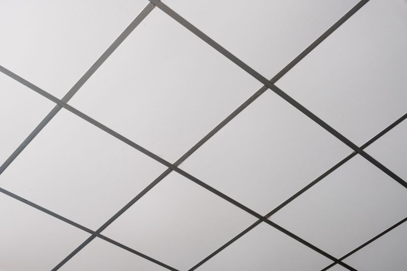 Suspended Ceiling Installation in Boulder, CO