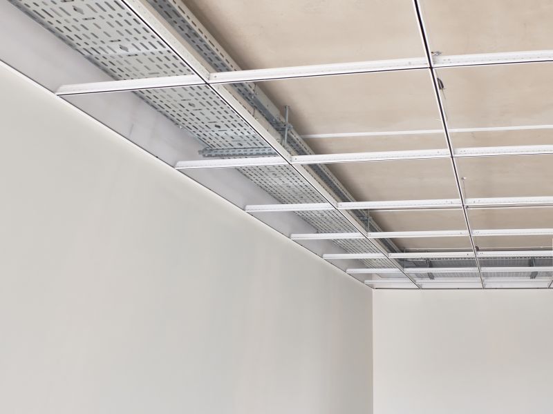 Suspended Ceiling Repair in Saint Augustine, FL