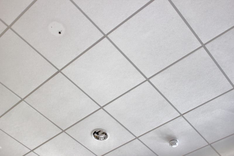 T Bar Ceiling Installation in Arvada, CO