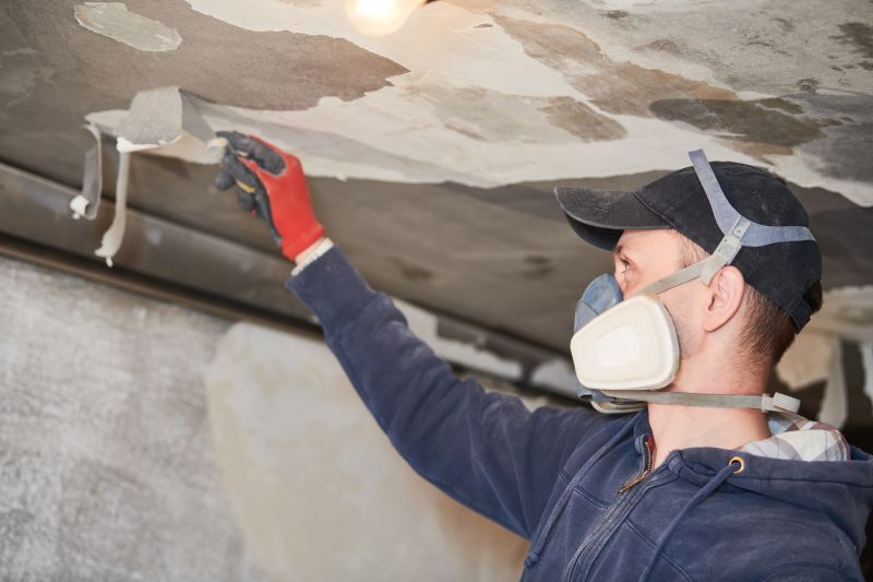 Professional Ceiling Repair Technician